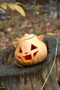 17 Easy Pumpkin Carving Ideas You’ll Want To Copy This Halloween