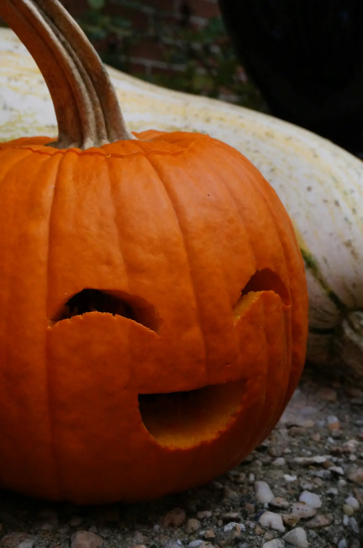 Pumpkin carving ideas featuring an orange pumpkin with a cute happy face, curved smiling eyes, and a cheerful open mouth for a playful Halloween decoration.